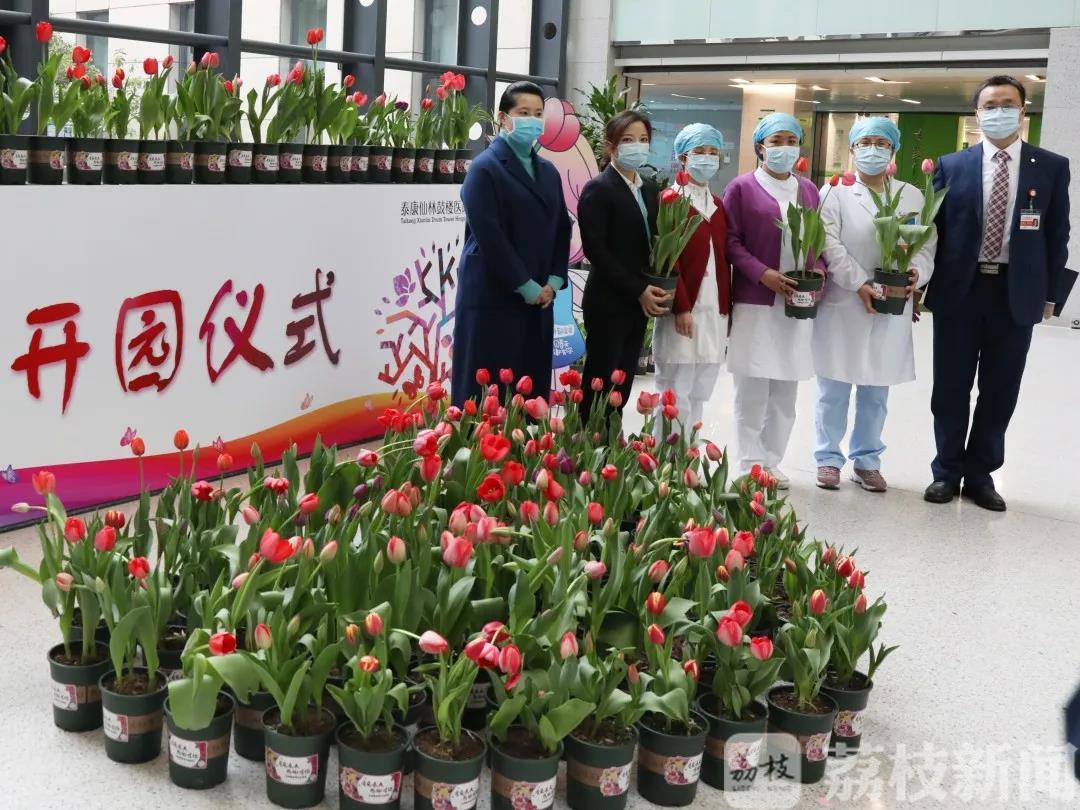 医院■医院里的花园：患者医生共享春天