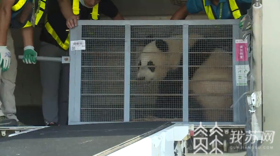 我苏今日■我苏今日8.6