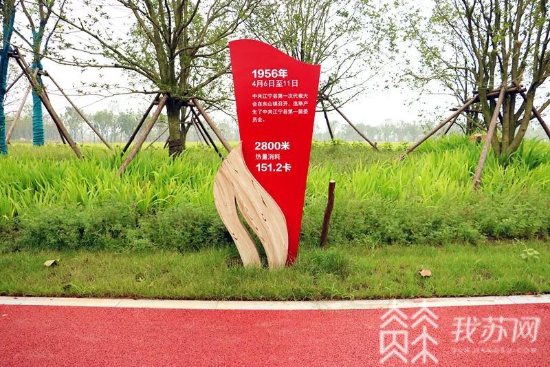「南京」南京以“绿”为底色绘壮美画卷 助力长江大保护