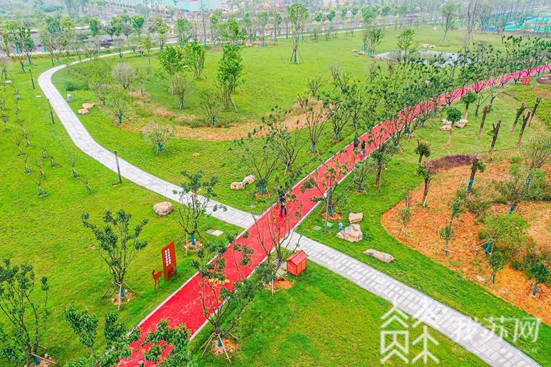 「南京」南京以“绿”为底色绘壮美画卷 助力长江大保护