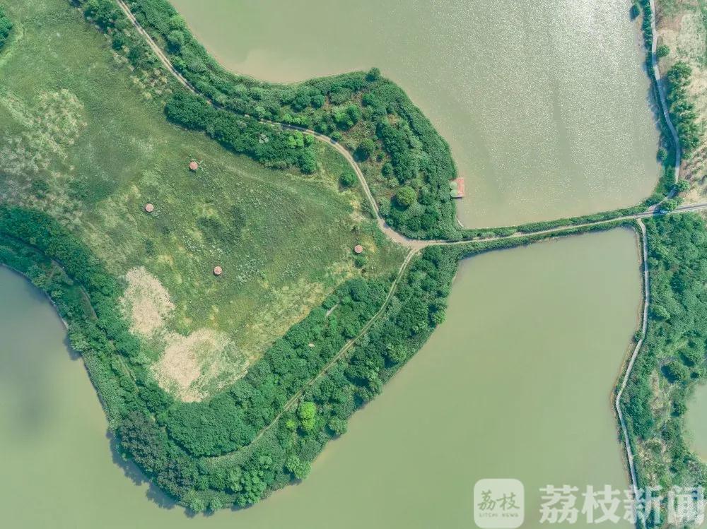 『长江』为南京长江大保护做“加法” 1162公里“绿道”串起金陵美景