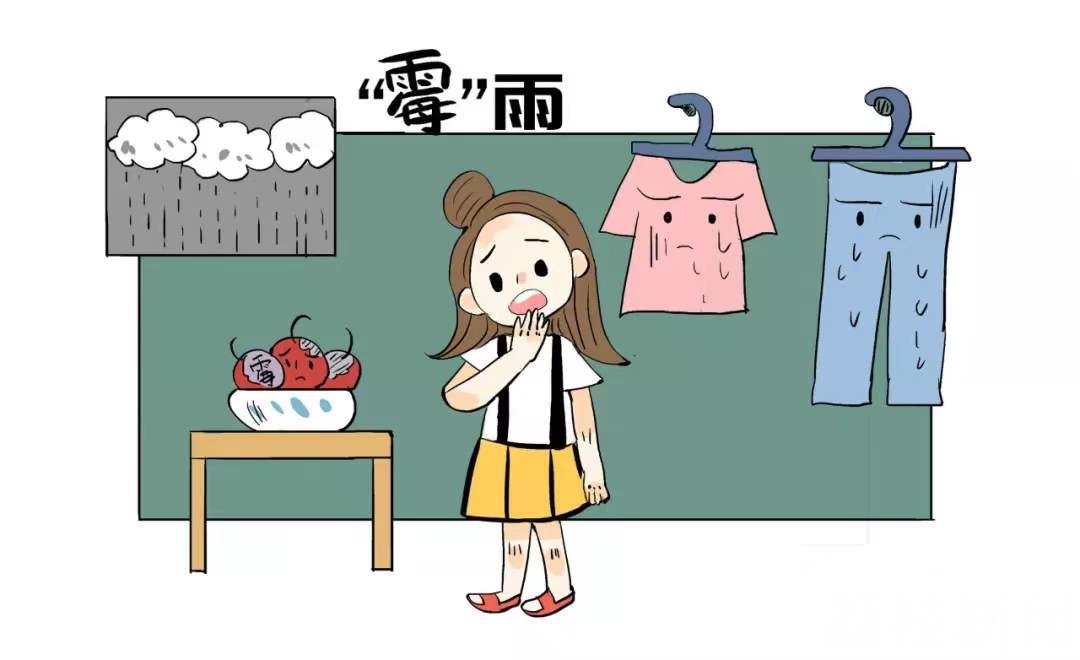 梅雨季■梅雨季有哪些防病祛湿小贴士？看这篇就知道了！