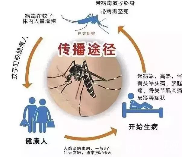 病例@与往年同期相比大幅减少 不用恐慌！江苏上半年通报登革热病例仅8例