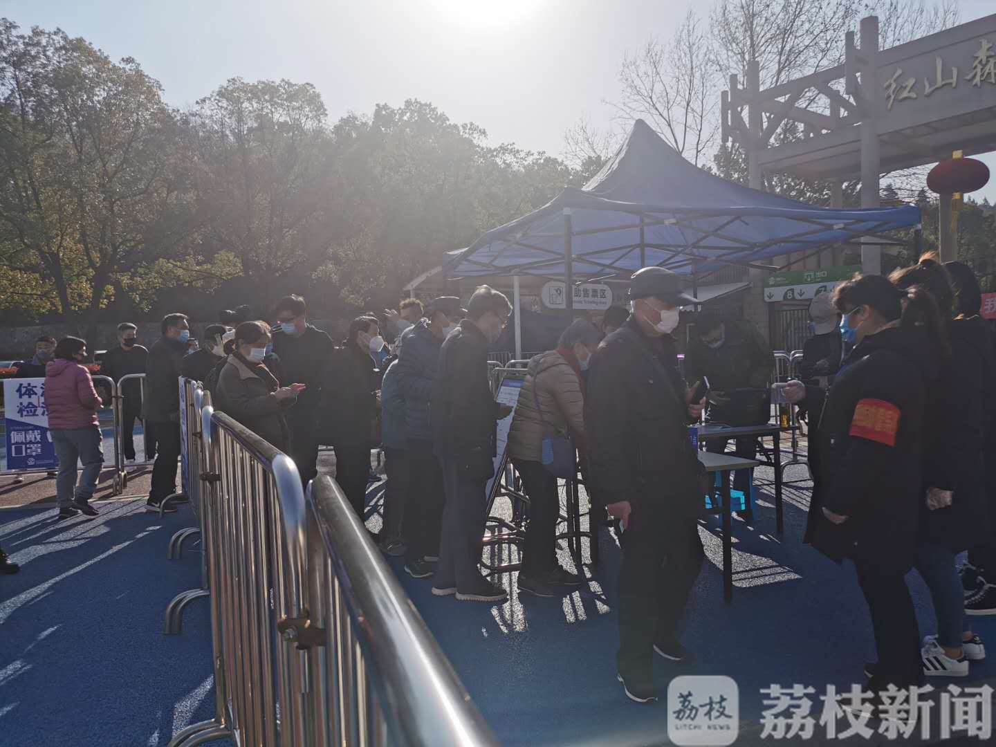 『动物园』南京红山动物园今天恢复开园 看!树上挂了一只熊猫