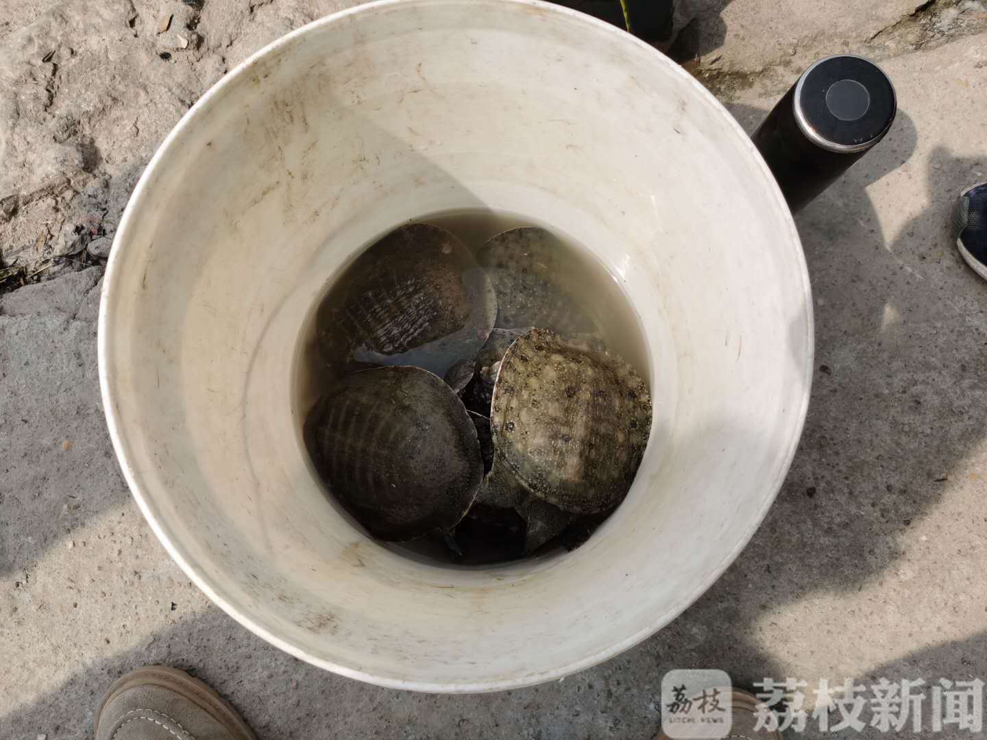 钓鱼■注意!长江里不能随便钓鱼了
