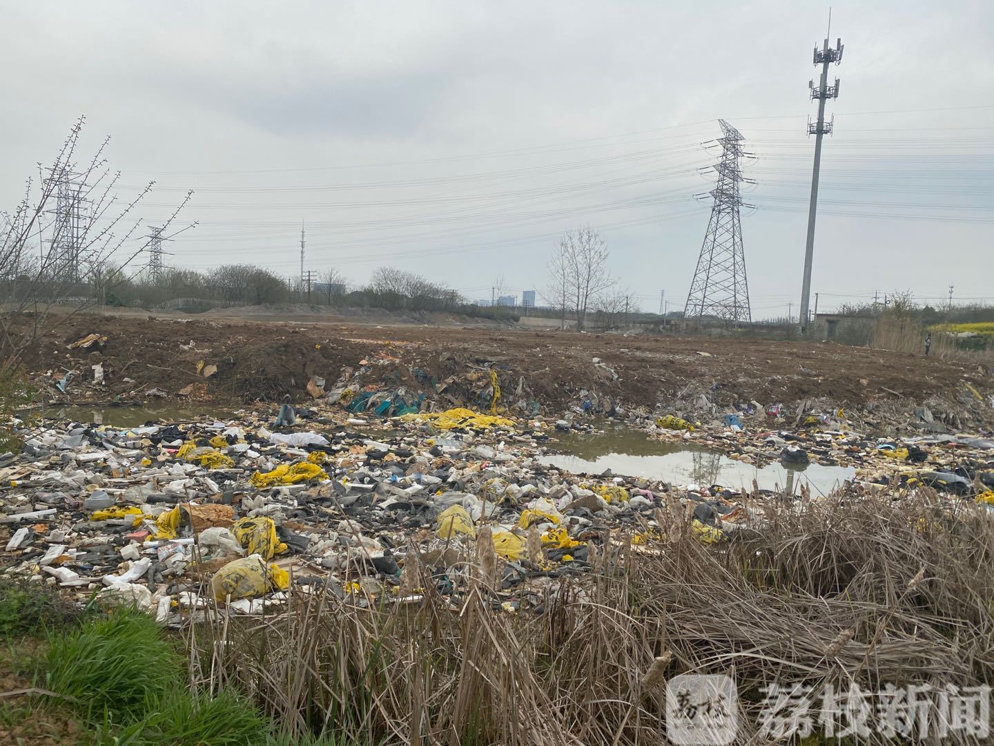 ■灯下黑？城管局旁边竟然有非法垃圾填埋场|荔枝解忧帮