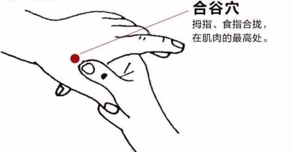 恐慌会导致抵抗力下降 中医专家教你如何修炼“正气”