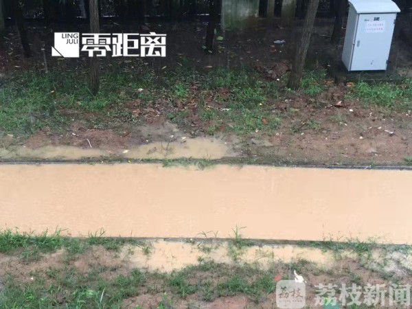 神操作：雨污水管改造后，小区反而积了水|荔枝解忧帮