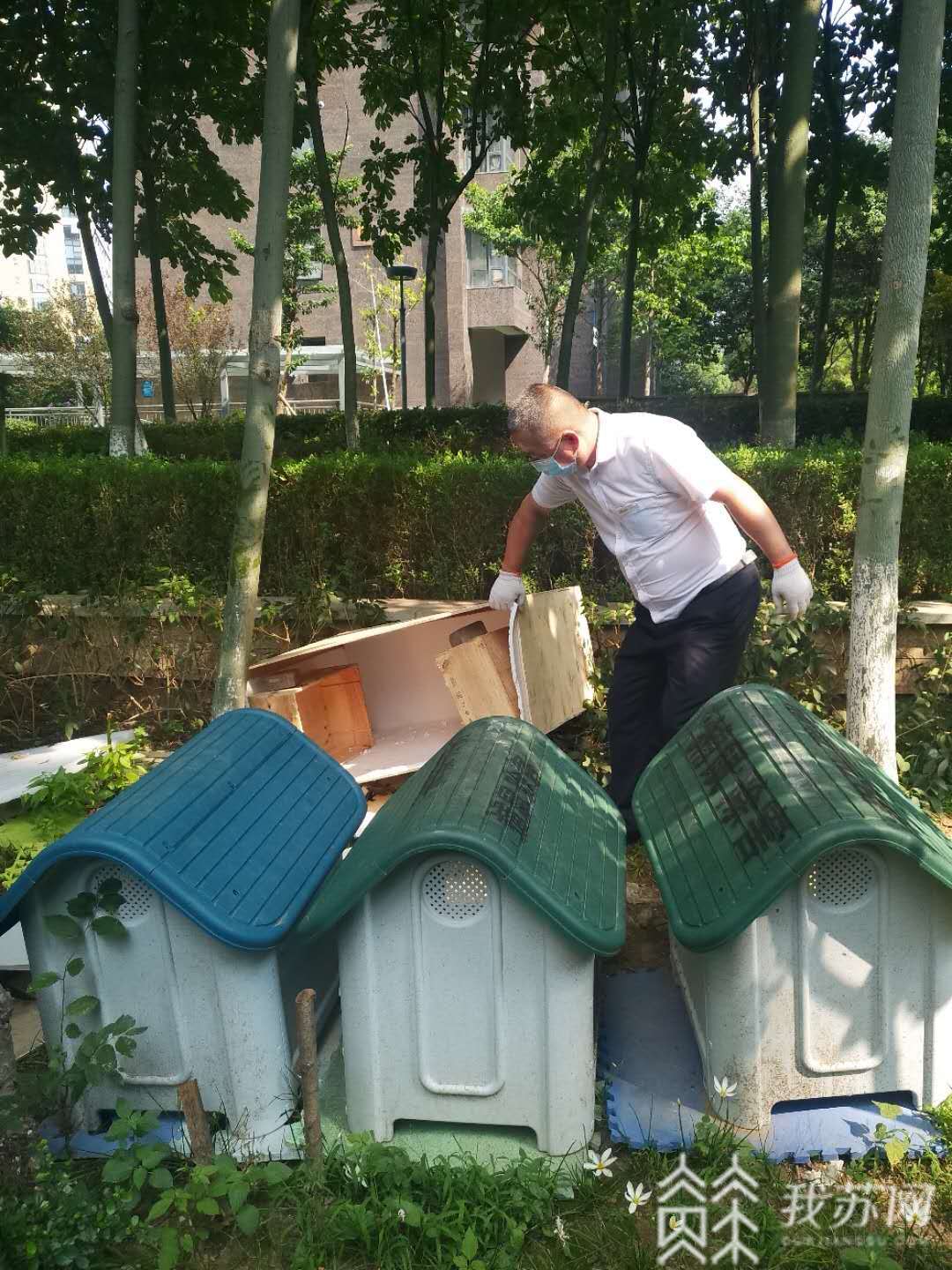 「流浪」南京一小区搭猫舍喂流浪猫惹争议丨解忧帮 驱离还是喂养?