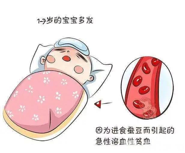 「蚕豆病」医生说他得了“蚕豆病” 2岁男童急性溶血尿如红茶