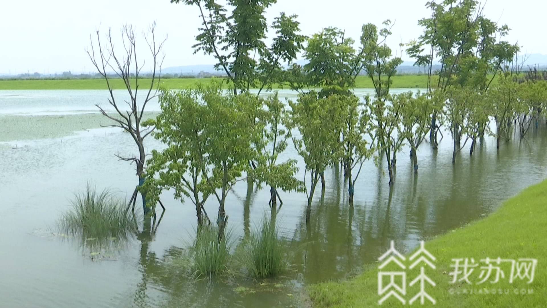 防汛:防汛人员紧急排险 溧水石臼湖:防止堤岸渗漏