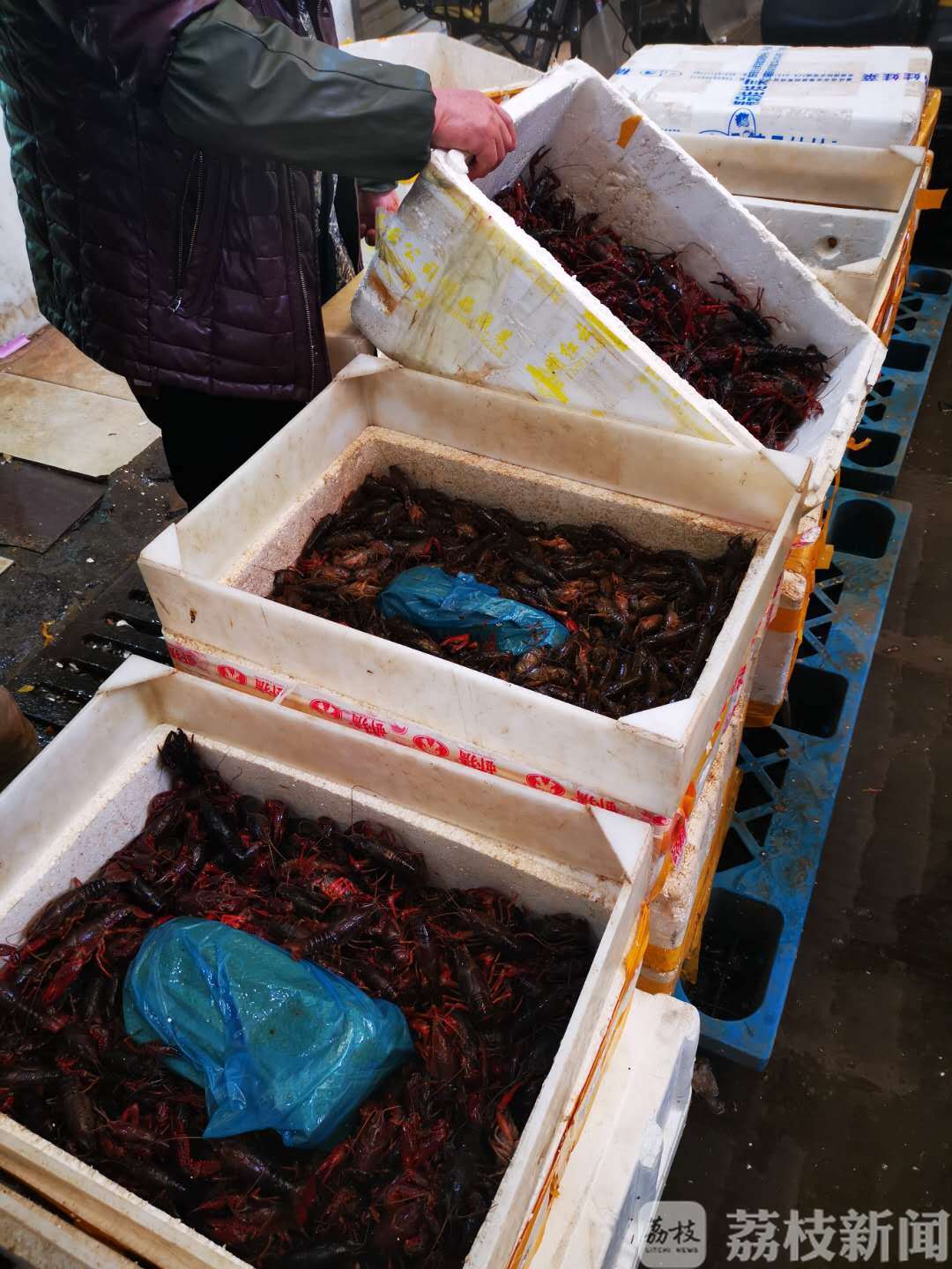 湖北：第一批湖北农产品已到货 “荆楚味道”约上了