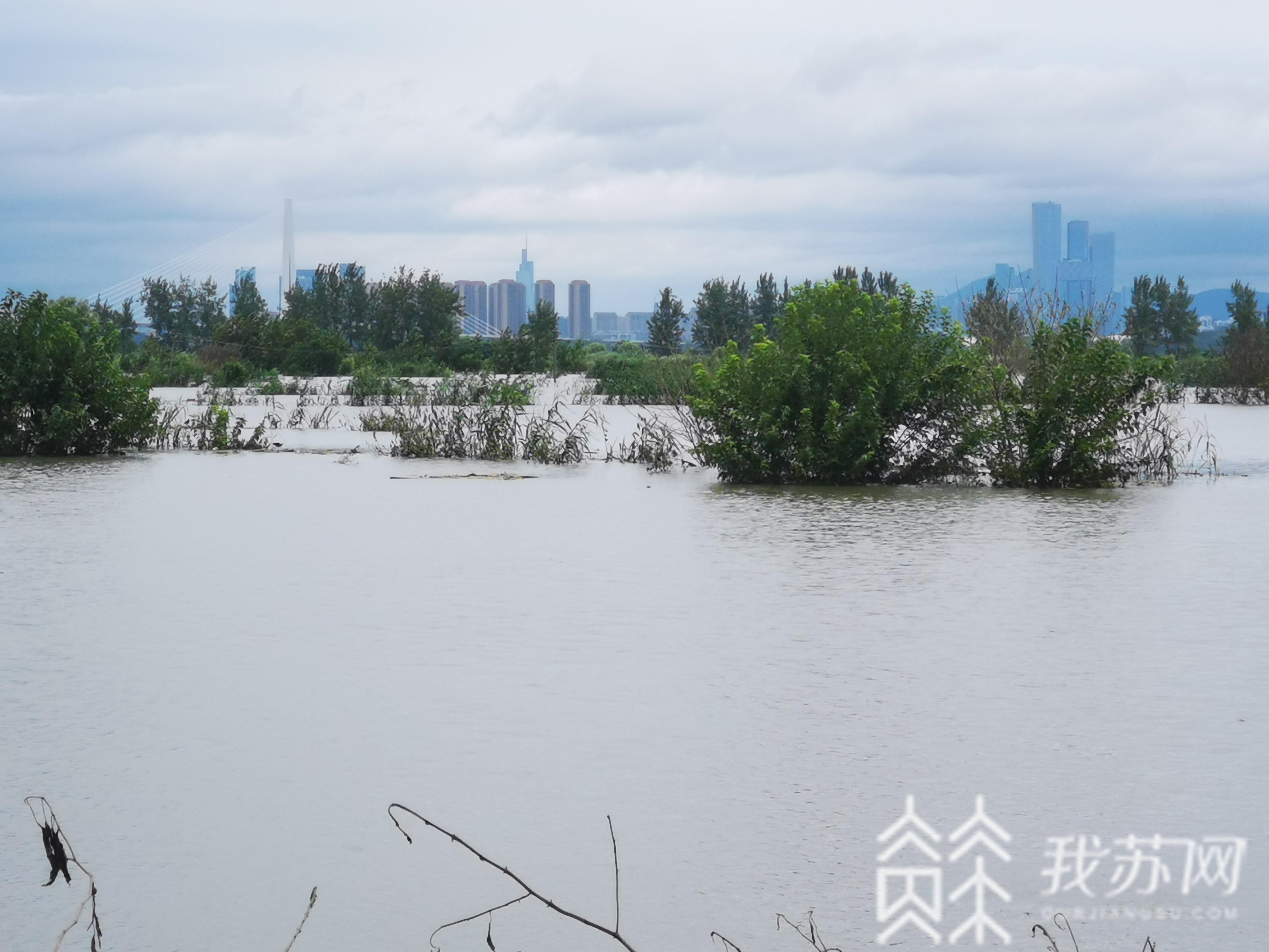 「水位」 堤防将迎接退水后新考验 长江南京站水位小幅下降