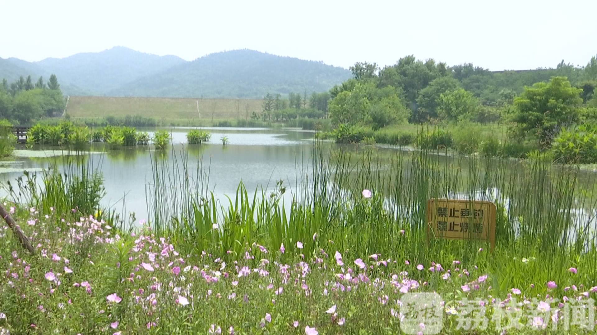 乡村■请“宁”郊游！乡村旅游直通车“六一”恢复运营