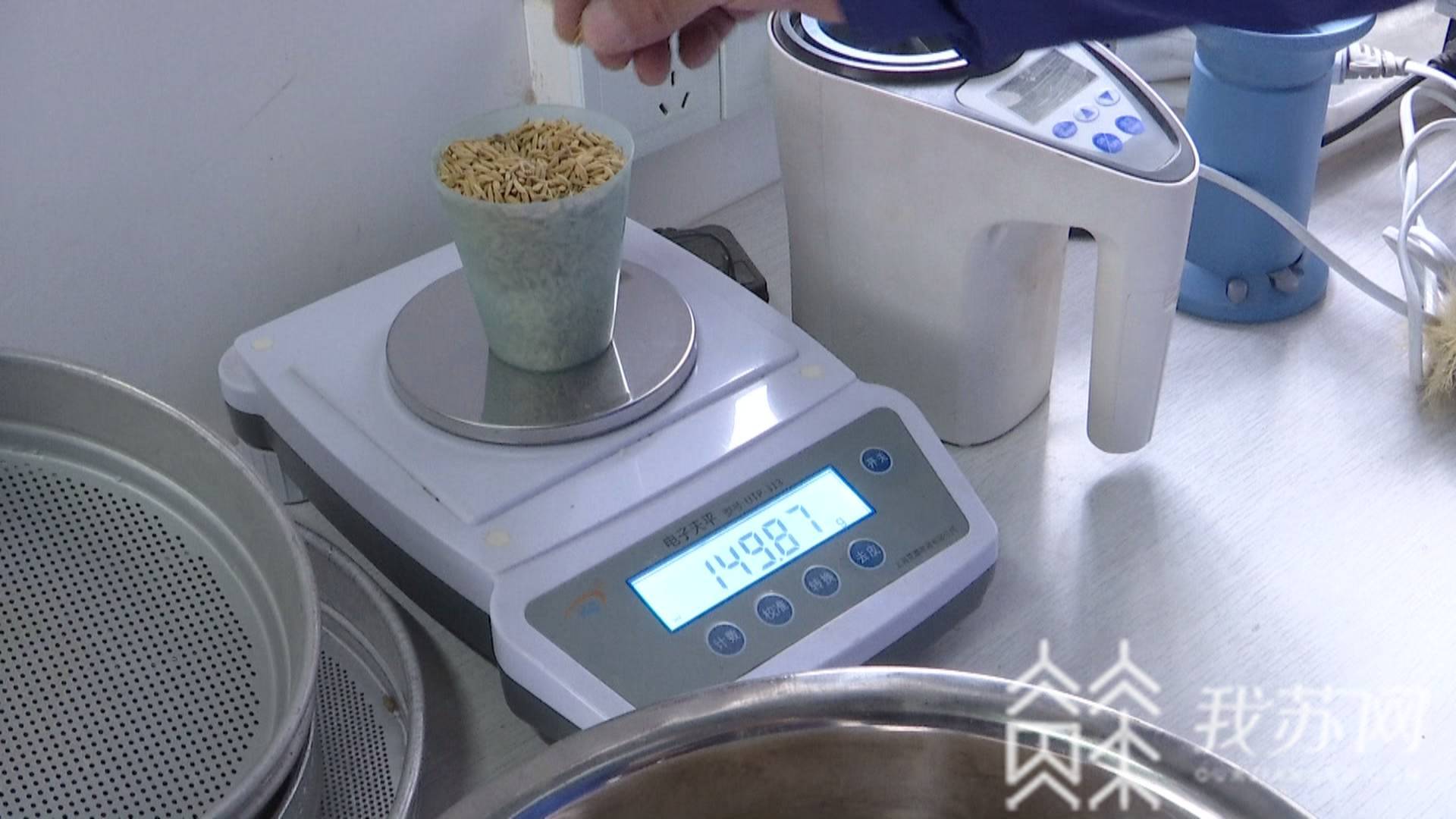 粮食：存储前先“烘干” 江苏秋粮开镰！节约粮食从源头做起