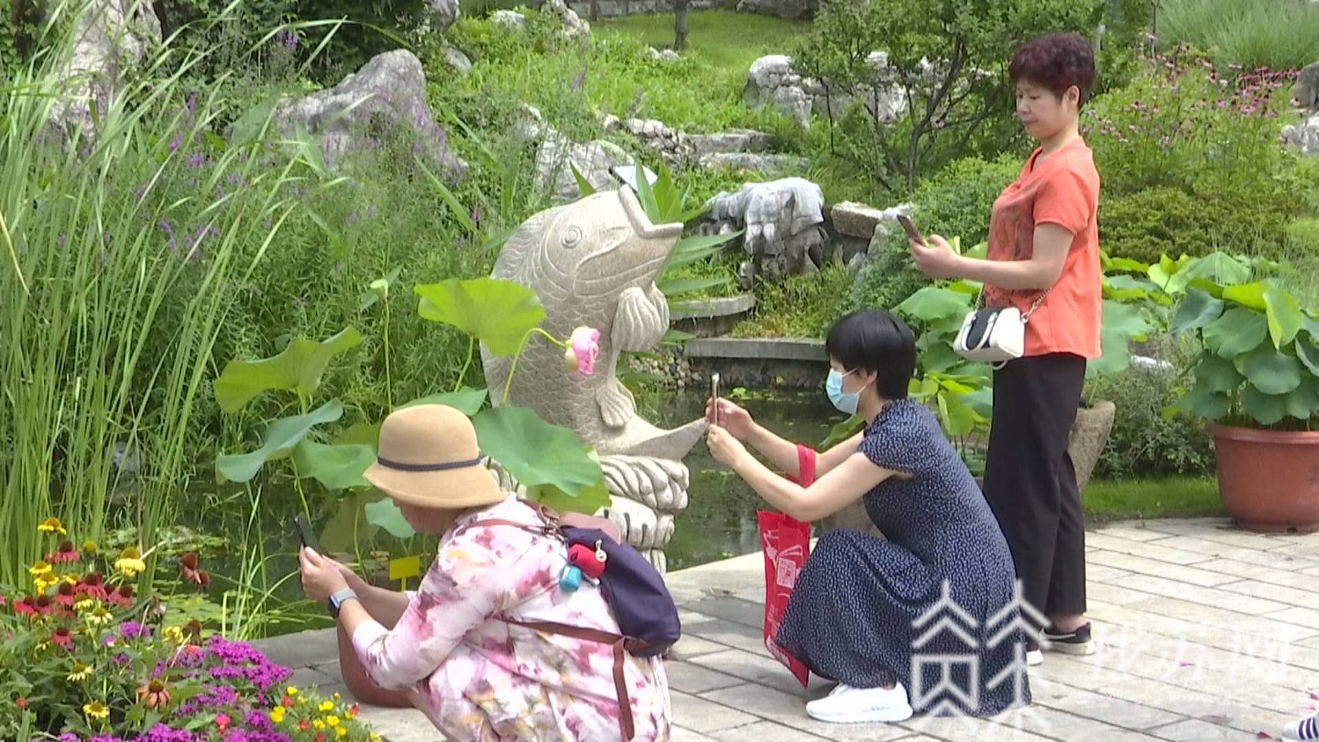 端午■端午小长假：南京多家景区推出“文旅大餐”