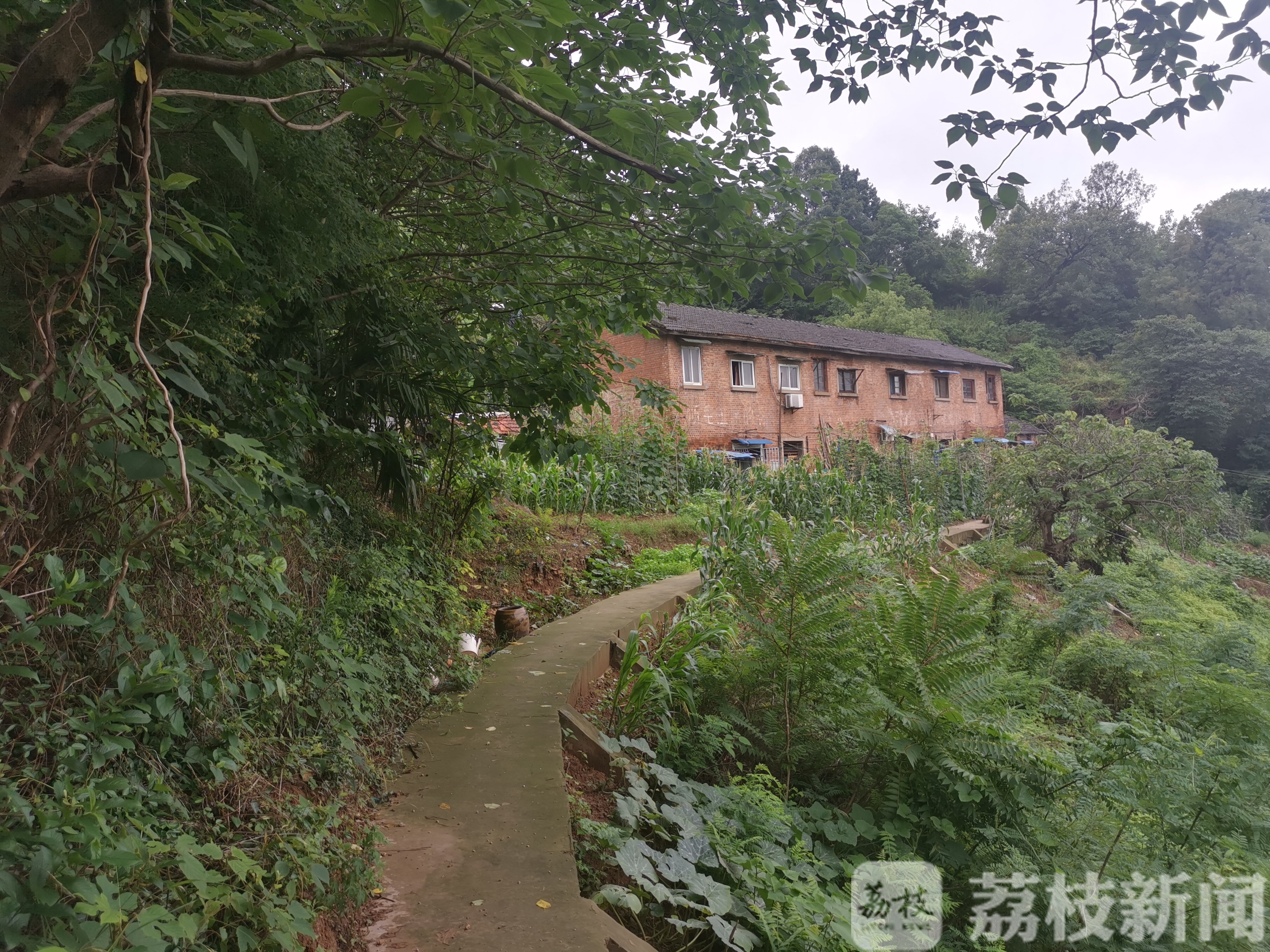 自然灾害@南京紧急处置多处地质灾害险情 240个隐患点专人值班