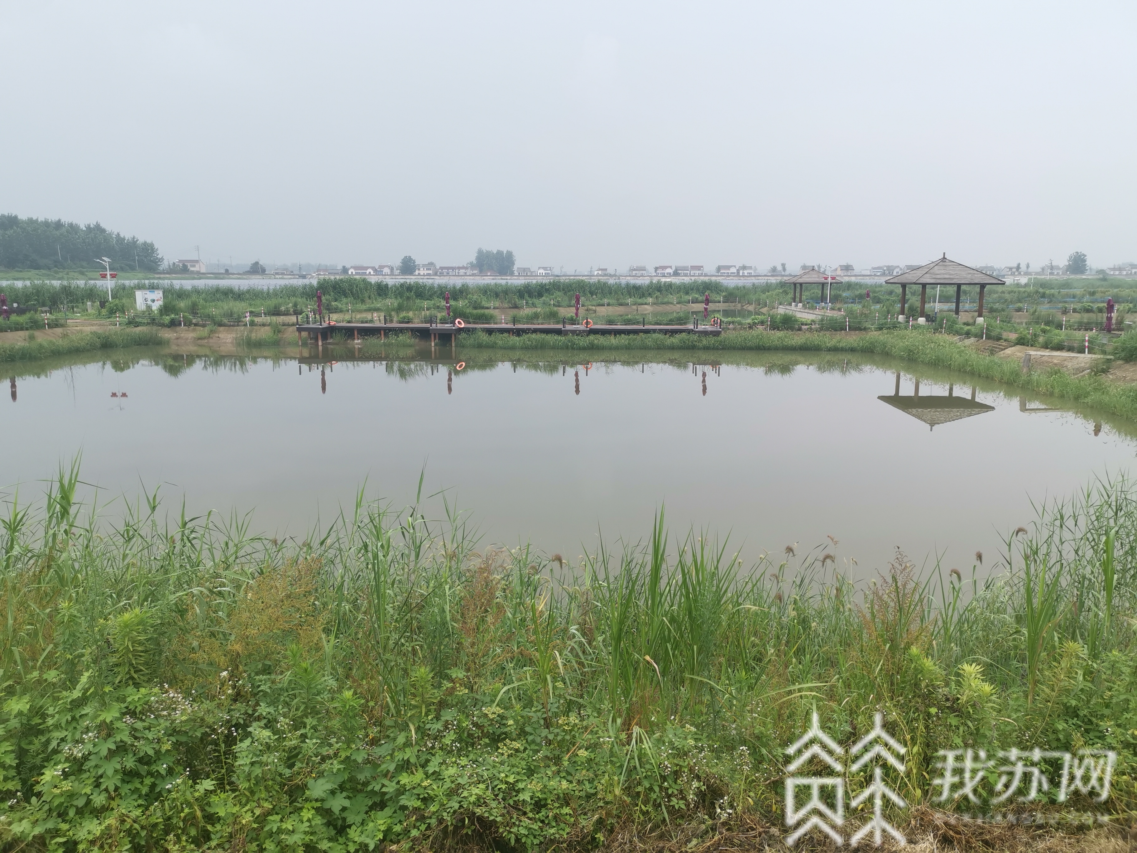 :螃蟹减产 超长梅雨季:鱼虾价格上涨