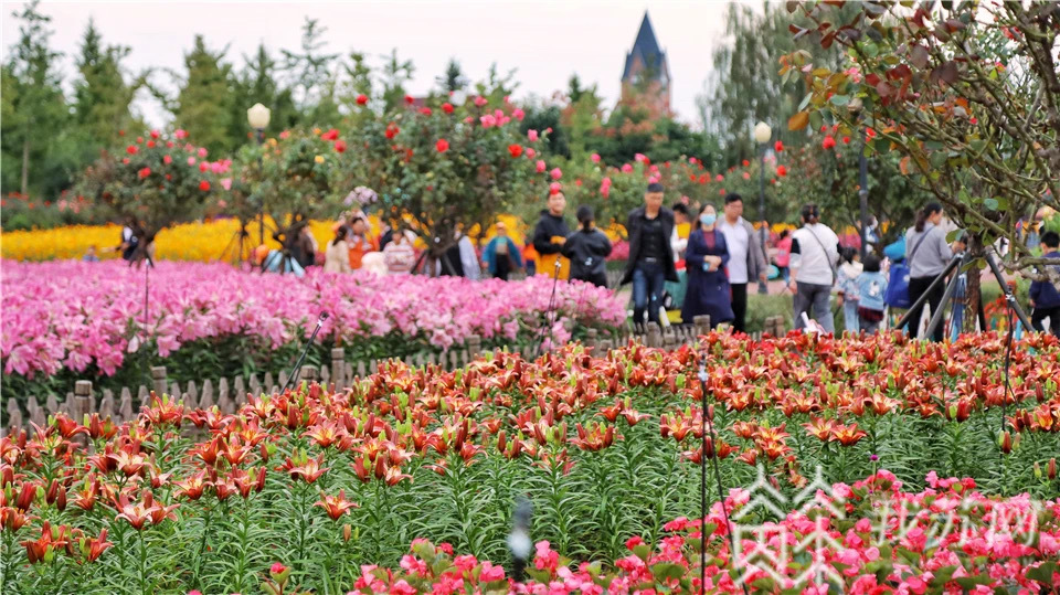文旅■接待游客超四千万！“双节”假期，江苏文旅市场交出亮眼成绩单