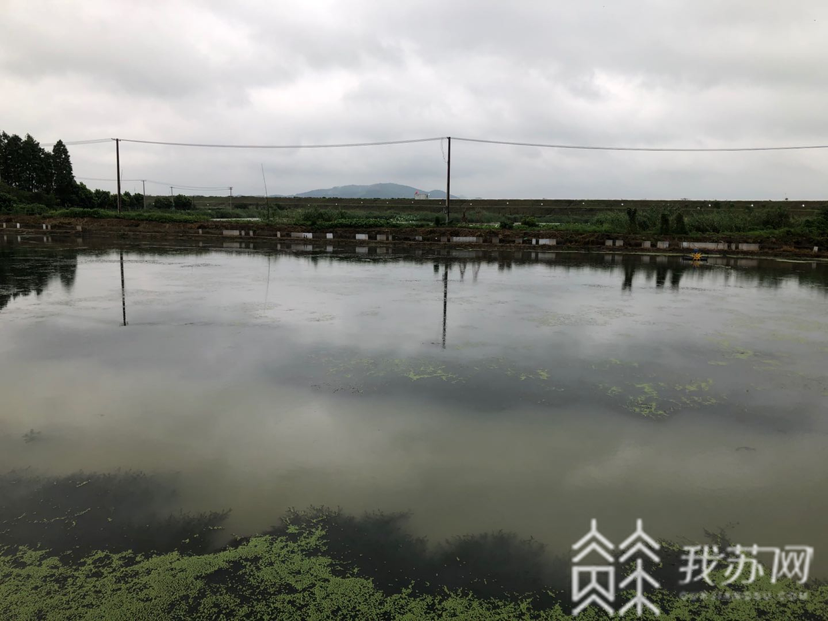 「上涨」当地重点保障蟹农财产安全|防汛抗灾第一线 固城湖水位持续上涨