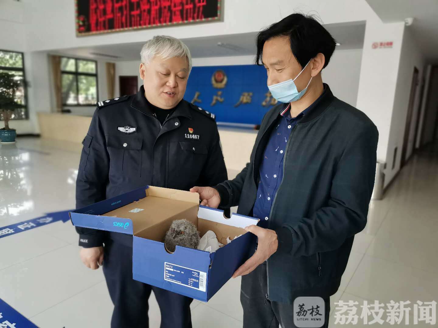 ■孔雀、猫头鹰、戴胜鸟……这个派出所都快变成野生动物园啦！