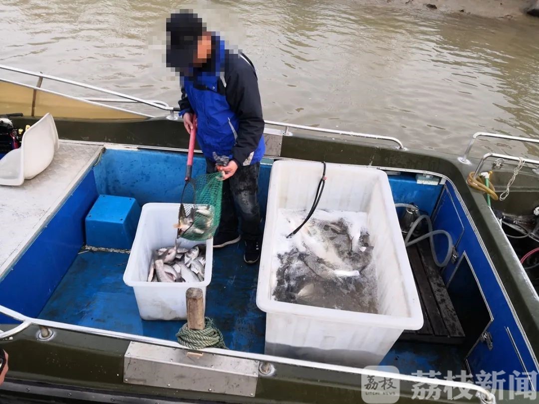 捕捞■顶风作案！夫妻二人禁渔期内非法捕捞水产品