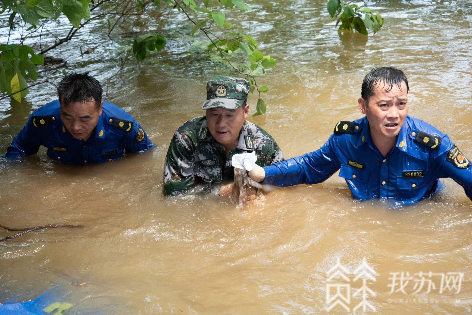 镇江■8小时！镇江新民洲成功封堵一处管涌