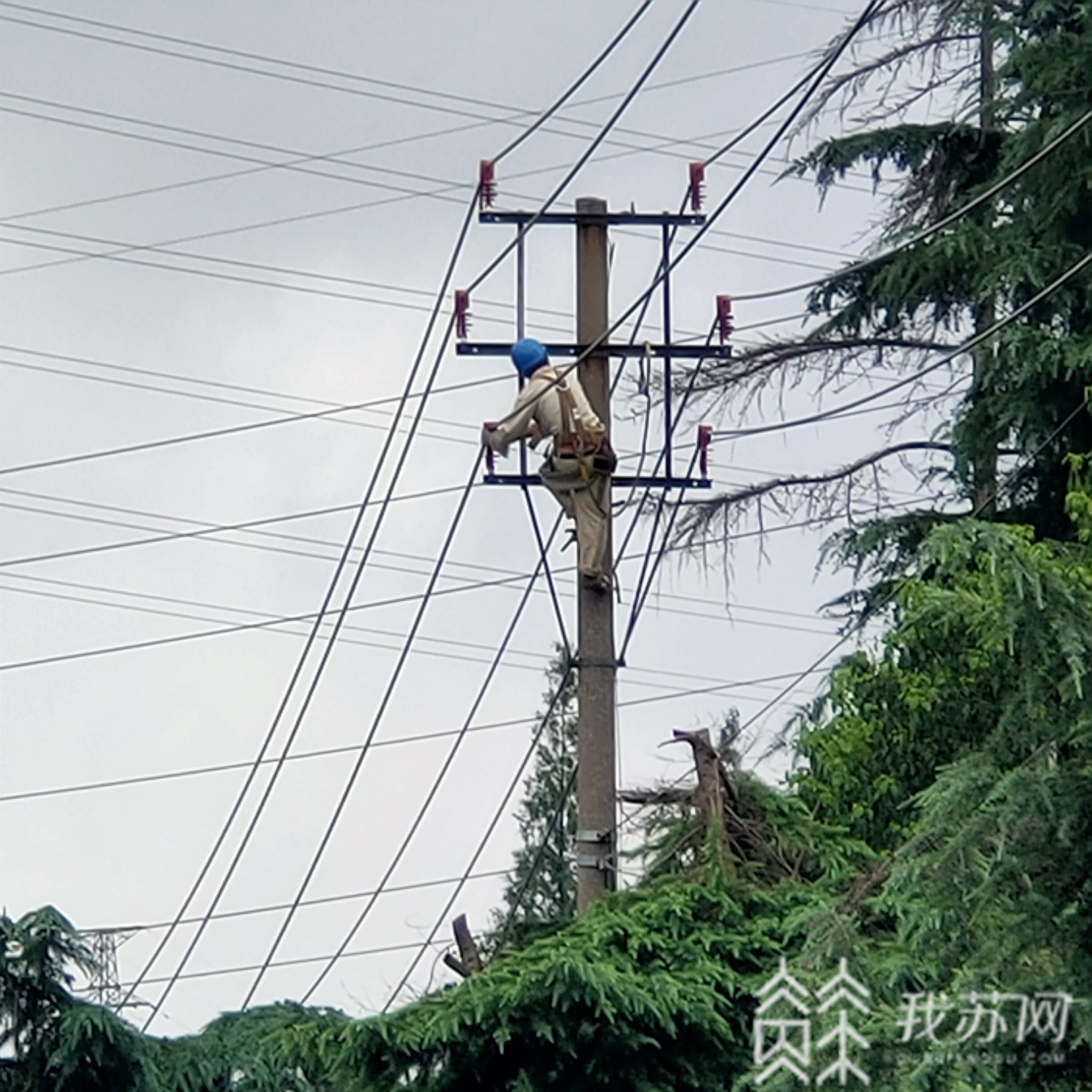 「抢修」他们紧急抢修送光明 雷击断线!