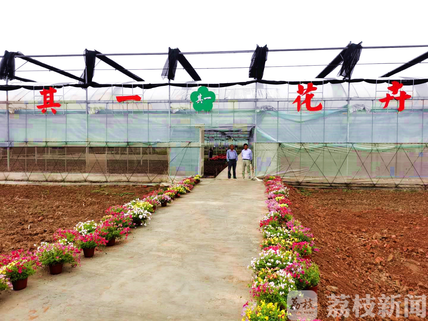 乡村■镇江:让乡村与城市共同“跑起来”!