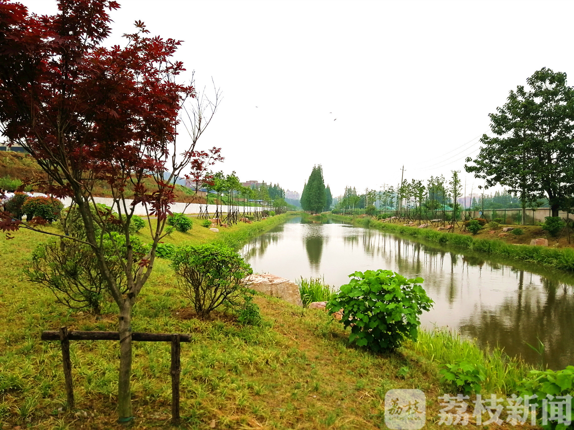 乡村■镇江：让乡村与城市共同“跑起来”！