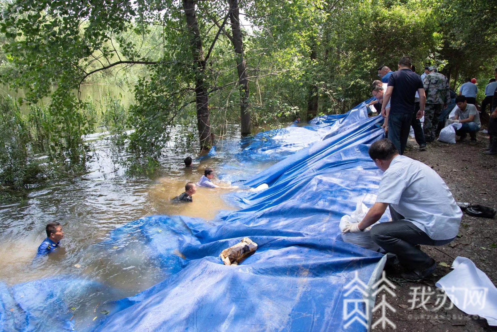 镇江■8小时！镇江新民洲成功封堵一处管涌