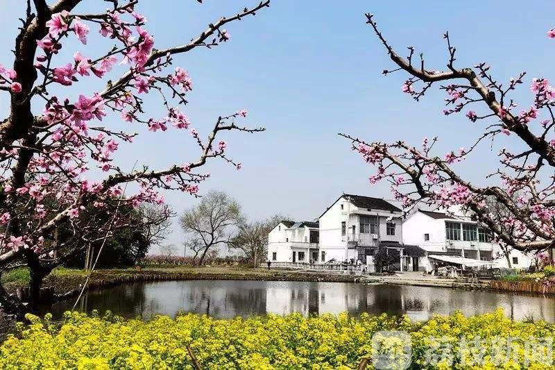 小康■盛地小康”官网上线 原创短视频大赛启动 无锡“太湖明珠