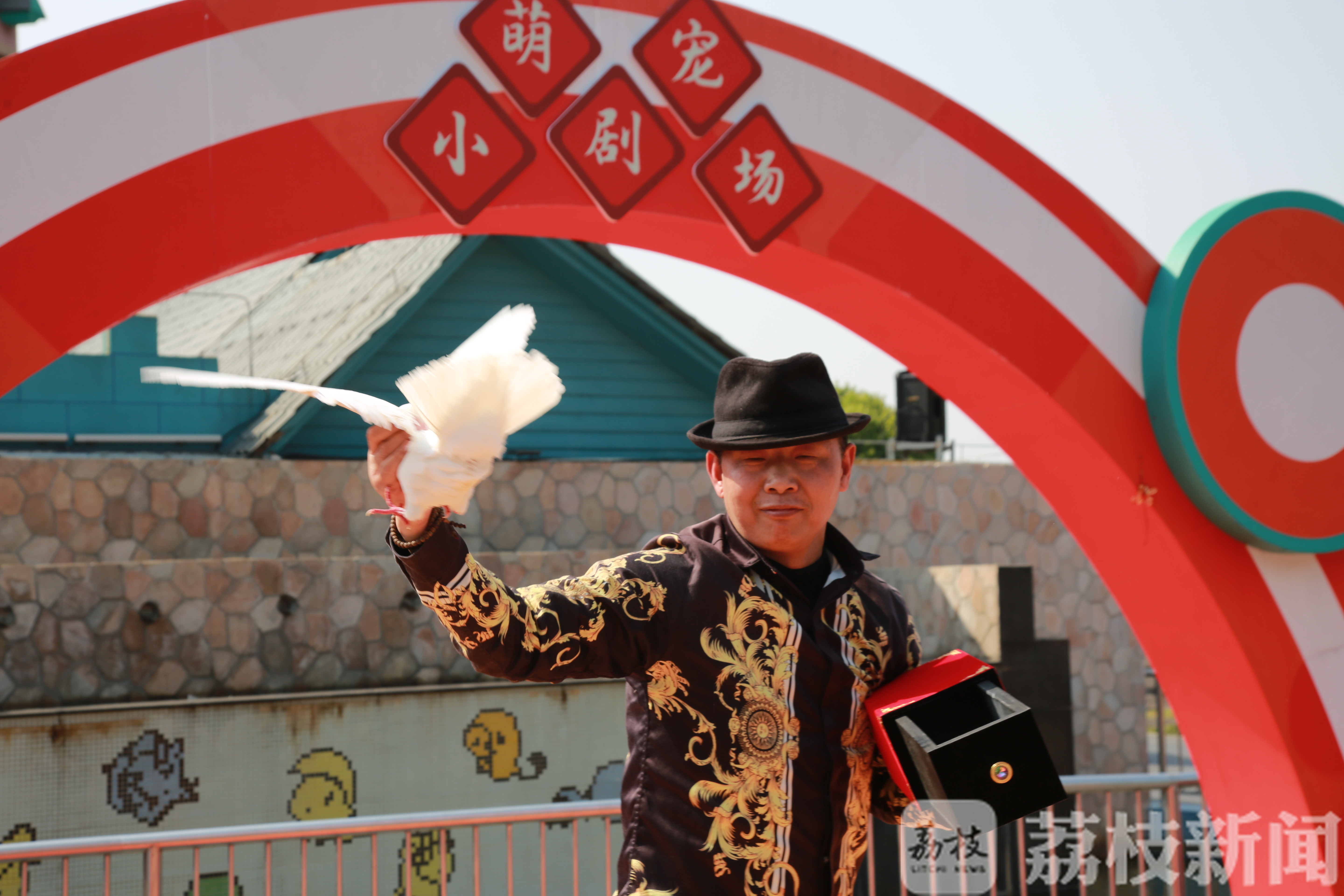 动物■动物狂欢魔术节开启，萌宠们个个身怀“绝技”