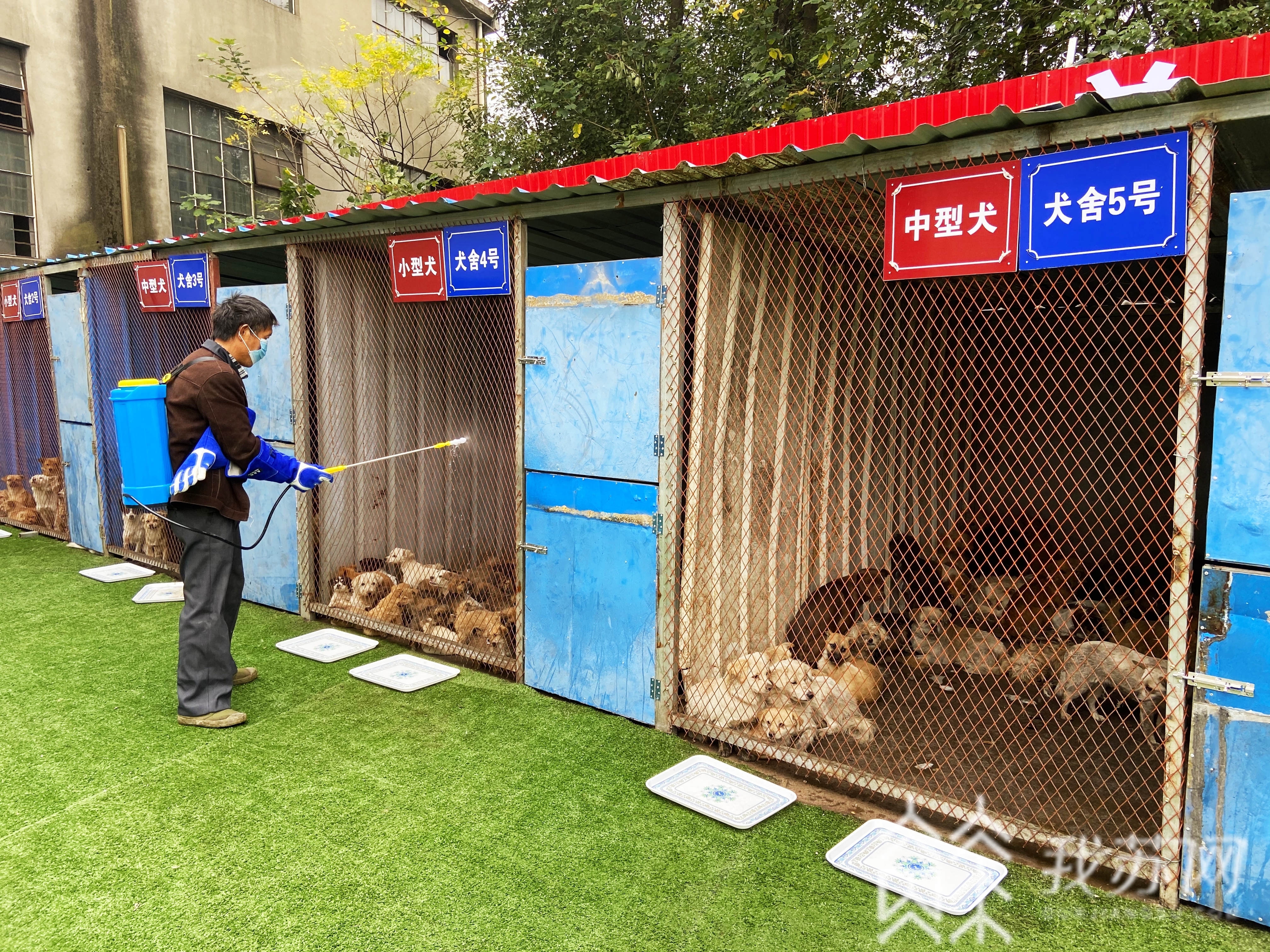 扰民■治理恶犬扰民，无锡将建现代化流浪狗收容所