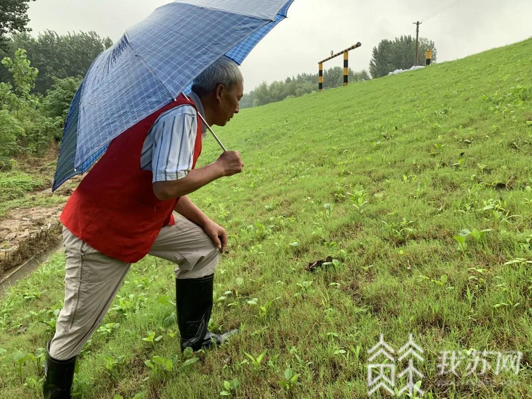 『防汛』奔赴千里之外抗洪主战场 |防汛抗灾第一线 江苏退役军人“乘风破浪”