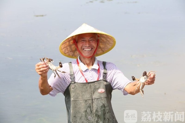 大闸蟹季来了！兴化打下中国第一捞，市长直播带货（视频）