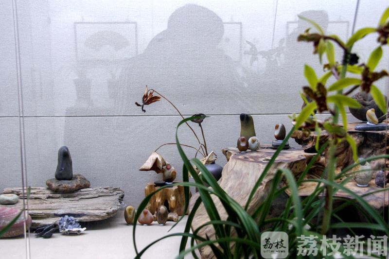 清凉山■不负好春光！兰友们拿出自家“宝贝”清凉山公园开展