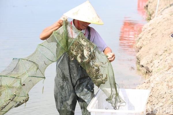 大闸蟹季来了！兴化打下中国第一捞，市长直播带货（视频）