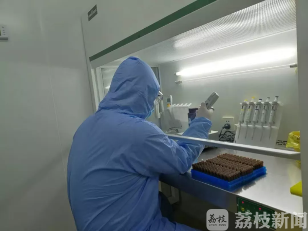 1分钟加样，最快30分钟出结果！重点地区新型冠状病毒检测平台（