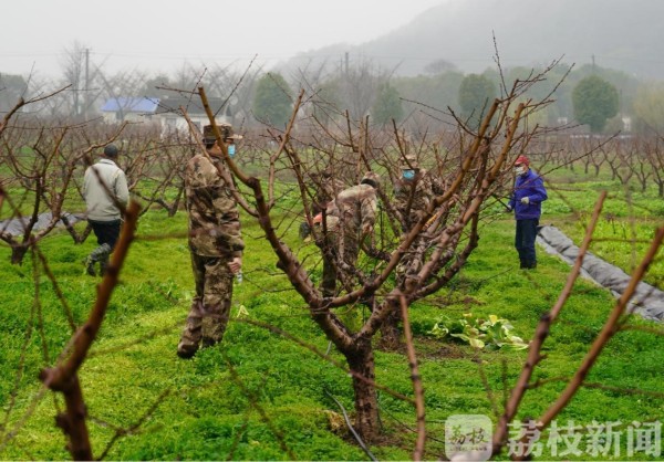 一年之计在于春：无锡阳山民兵冒雨备春耕