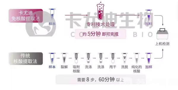 1分钟加样，最快30分钟出结果！重点地区新型冠状病毒检测平台（