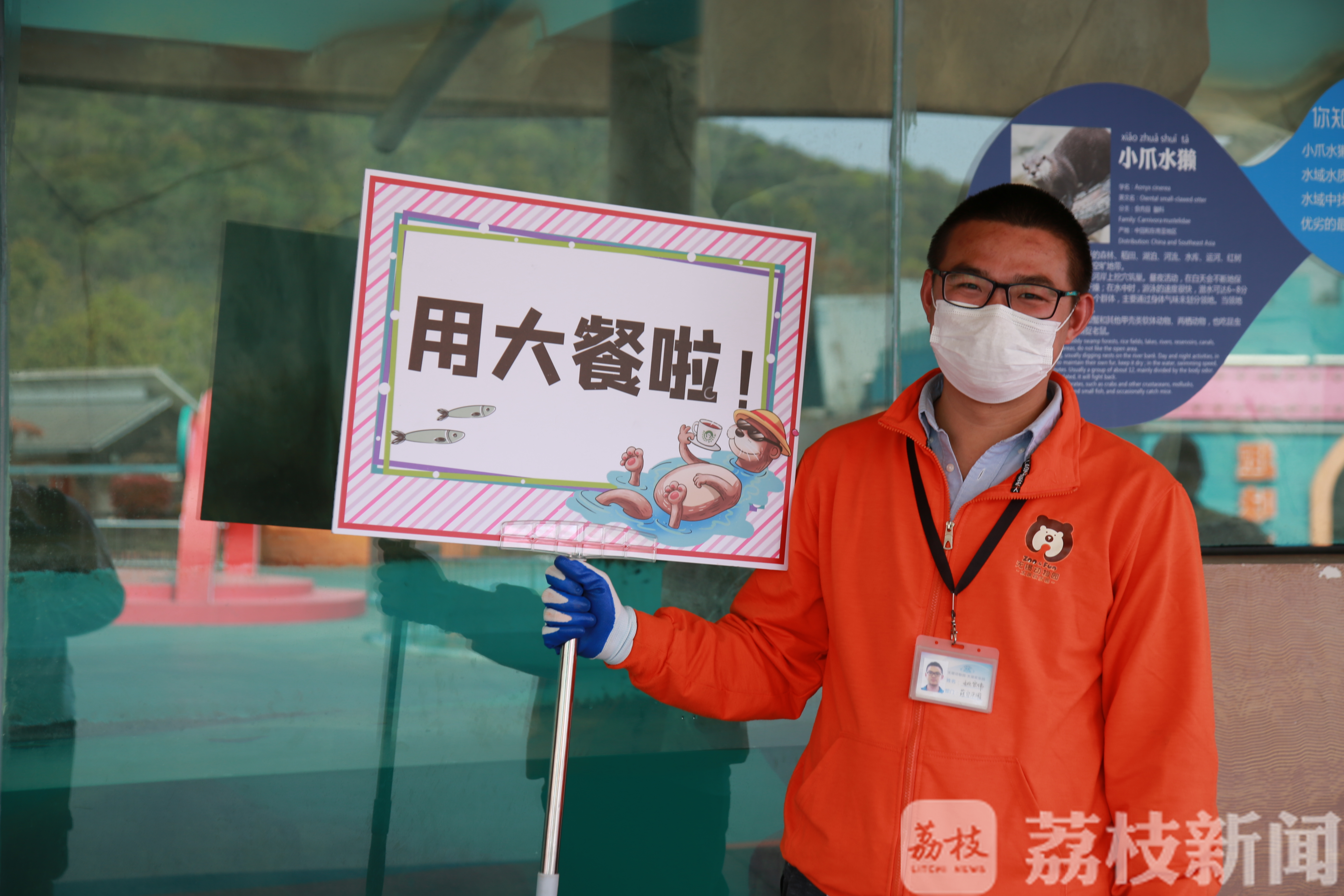 ■树懒宝宝学爬树、大食蚁兽口腔锻炼、细尾獴排排坐上课……萌宠复学季来了！