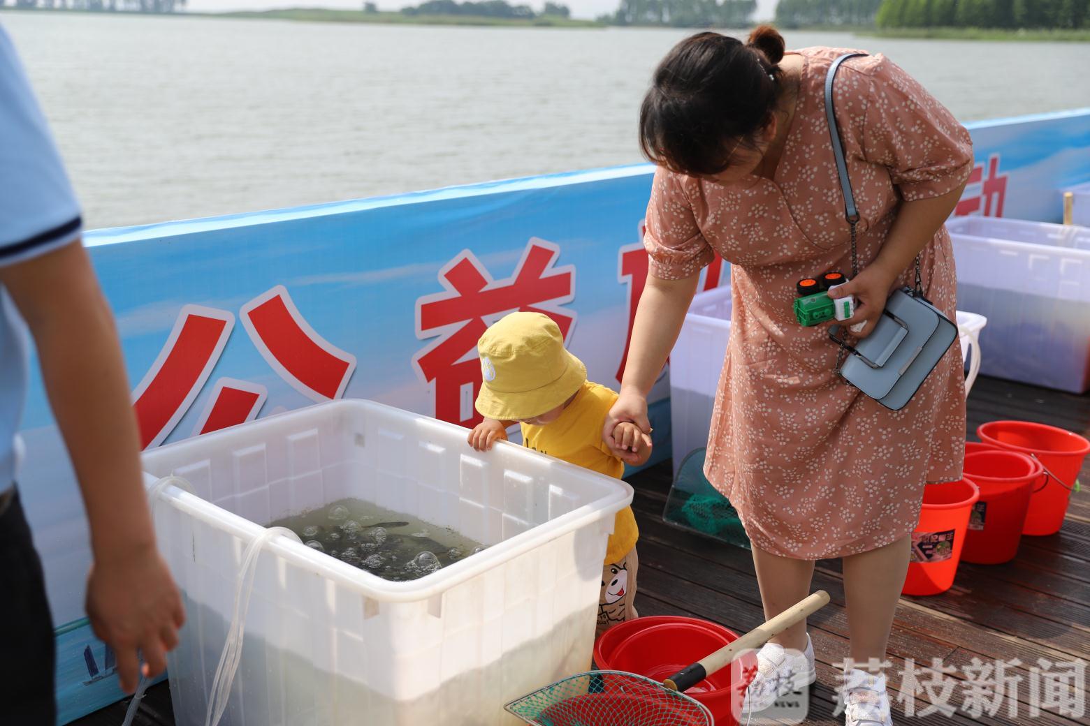 「」以鱼净水！全国放鱼日约150万尾“鱼宝宝”被放流太湖 以水养鱼