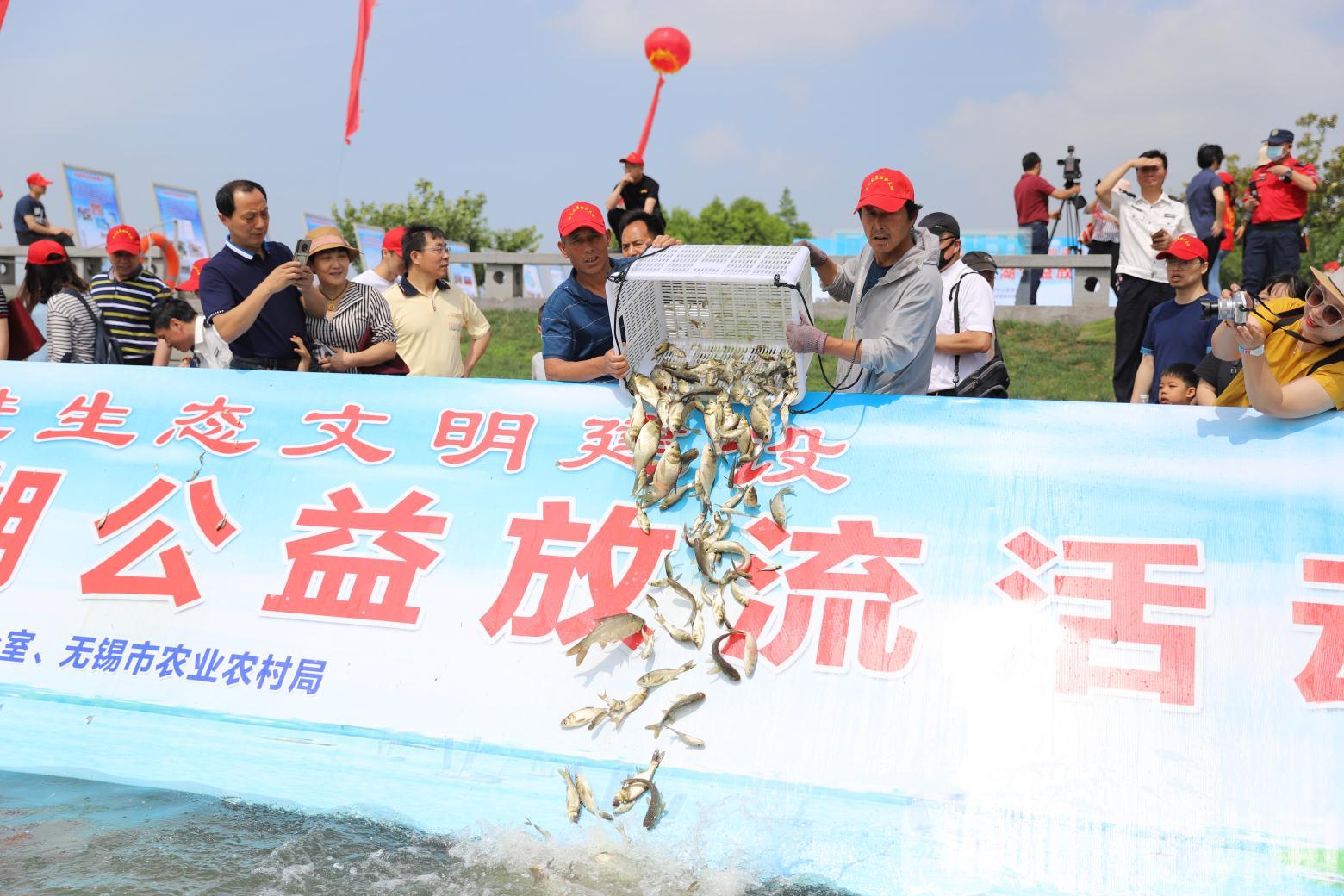 「」以鱼净水！全国放鱼日约150万尾“鱼宝宝”被放流太湖 以水养鱼