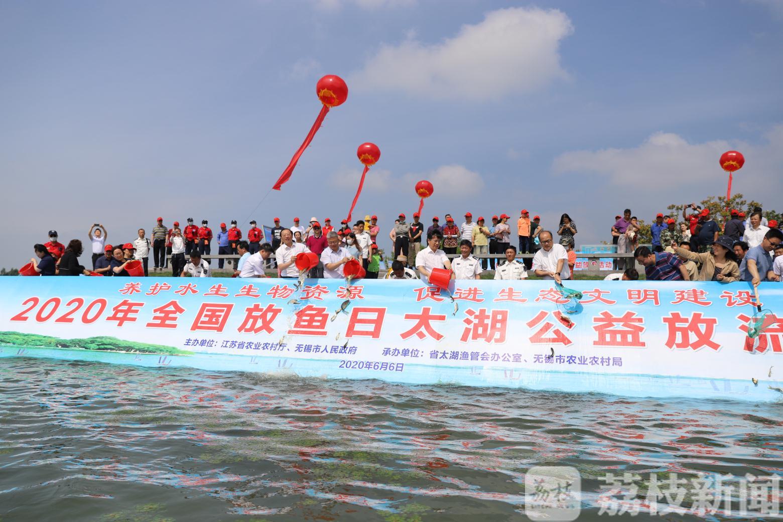 「」以鱼净水！全国放鱼日约150万尾“鱼宝宝”被放流太湖 以水养鱼