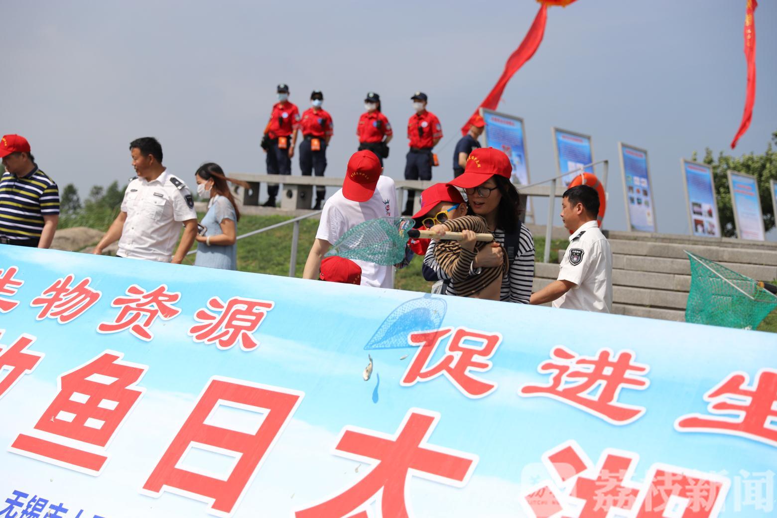 「」以鱼净水！全国放鱼日约150万尾“鱼宝宝”被放流太湖 以水养鱼