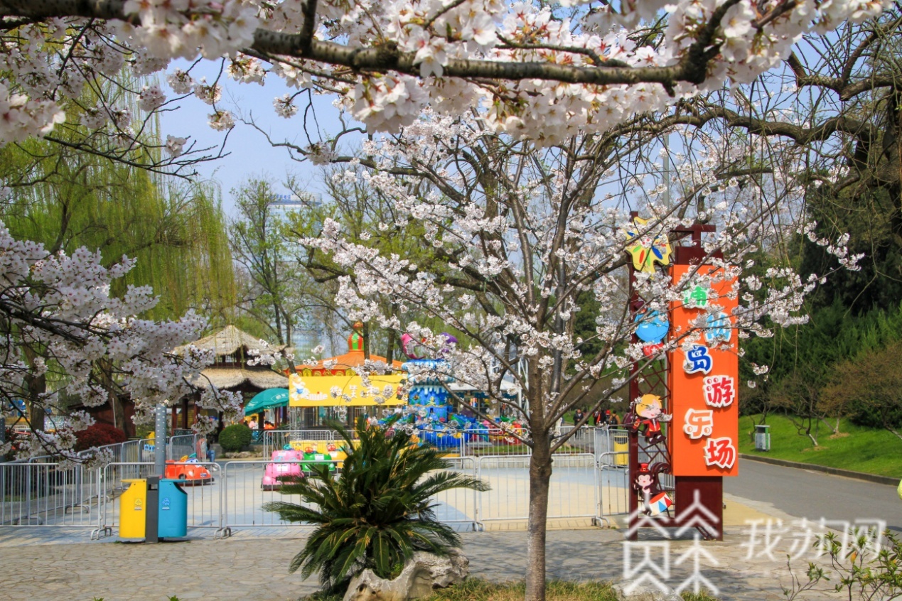 景区■玄武湖一卡通来啦！景区免费开放十周年回馈游客