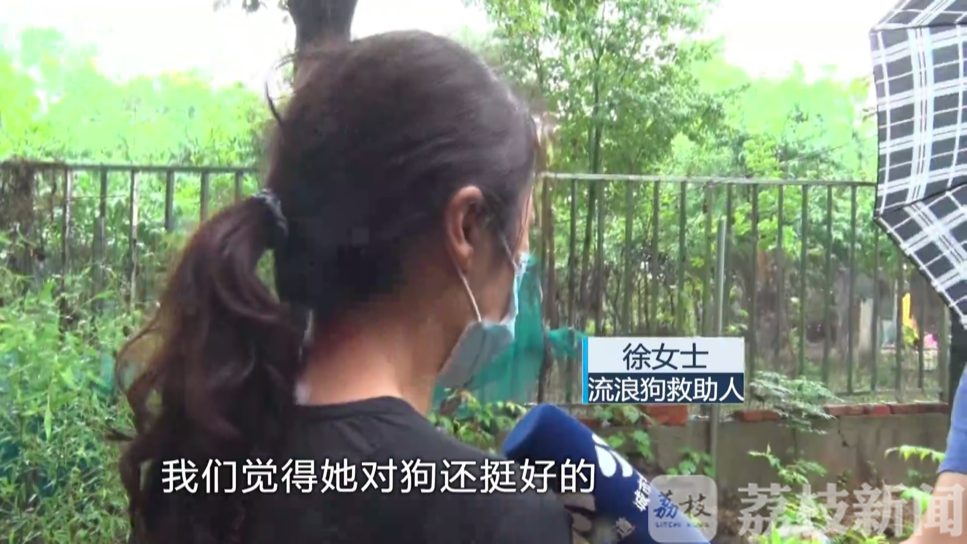 流浪狗■圈养流浪狗惹风波：谁动了我的狗？丨解忧帮
