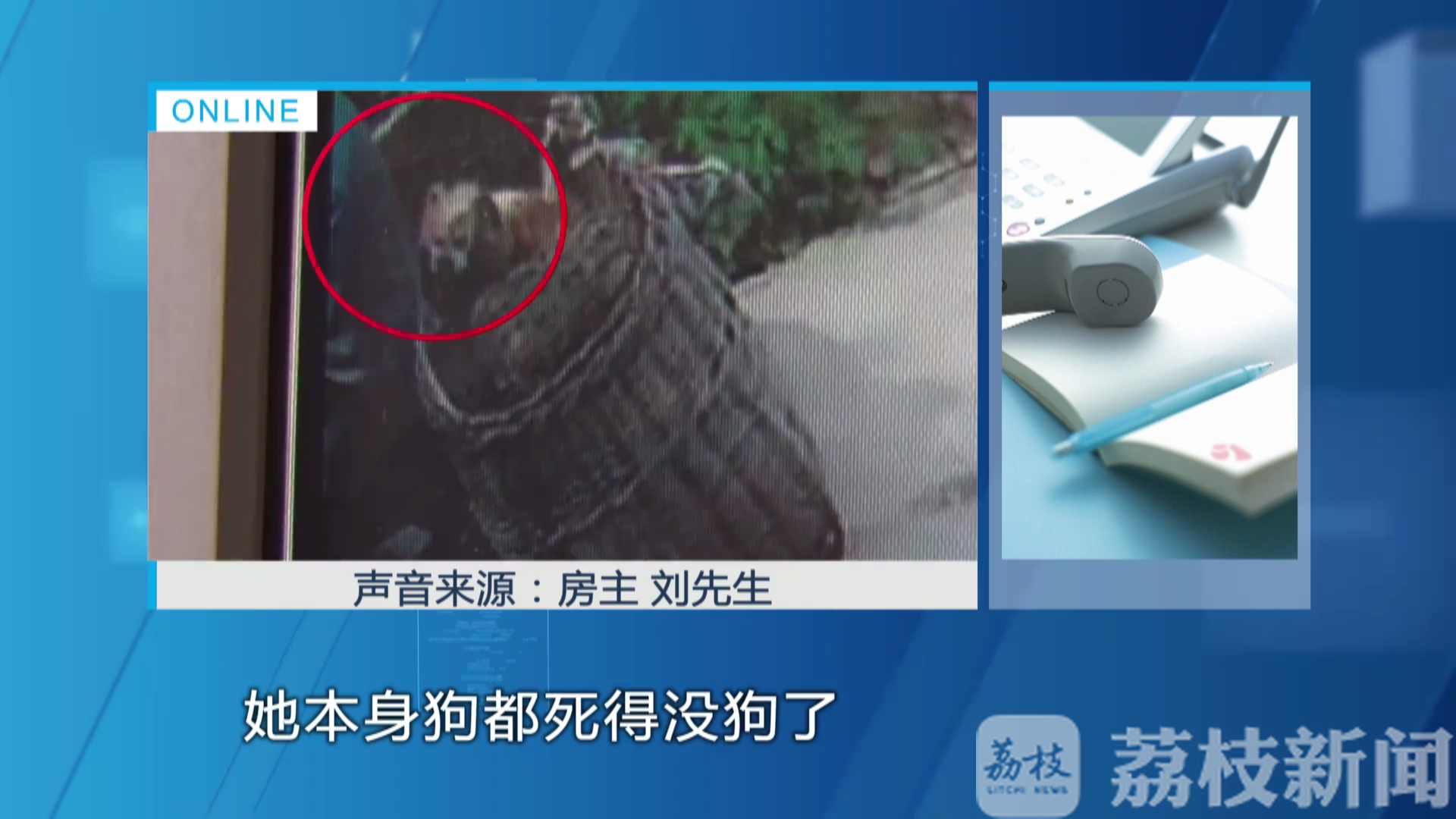 流浪狗■圈养流浪狗惹风波：谁动了我的狗？丨解忧帮