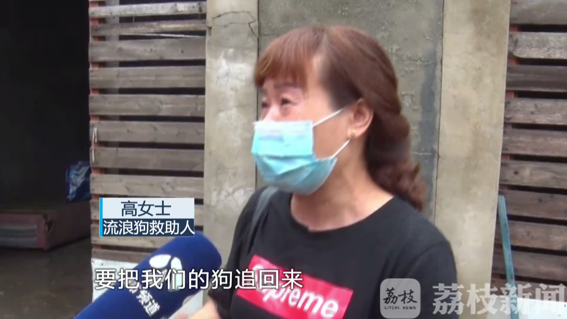 流浪狗■圈养流浪狗惹风波：谁动了我的狗？丨解忧帮